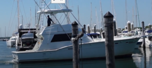 L&H Sportfishing is a fishing charter with Twin Cummins QSM11 engines.